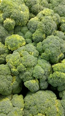 actionables:  yesjezebel:  actionables:  mahbuddygreg:  thesassycat:  Went on a helicopter ride over the forest today and took this nice pic :)  This is a vegetable  No can’t you read, that is a helicopter view over the forest  lmao That’s broccoli