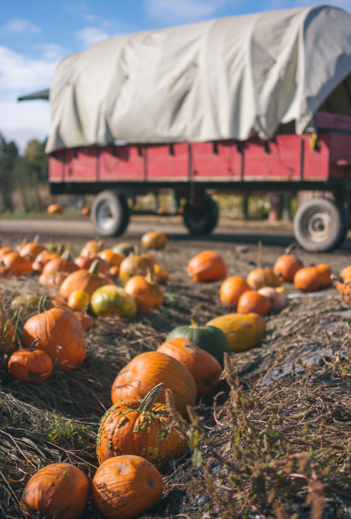 Hunter Farms, 2017Prints