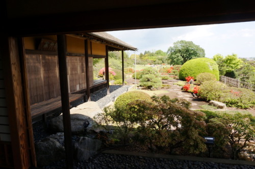 日本三名園の偕楽園へ。あとは岡山の後楽園に行けばコンプリートです。お天気も景色もよかった。2019.5