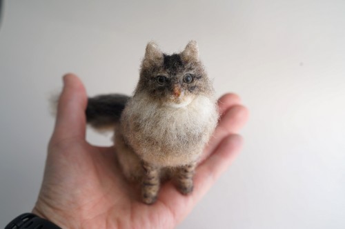 A Needle Fetled Cat Based On Pet Photos.