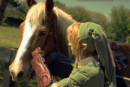 So for the new year, I am going back and re-editing all my Link and Epona pictures. I got a new comp