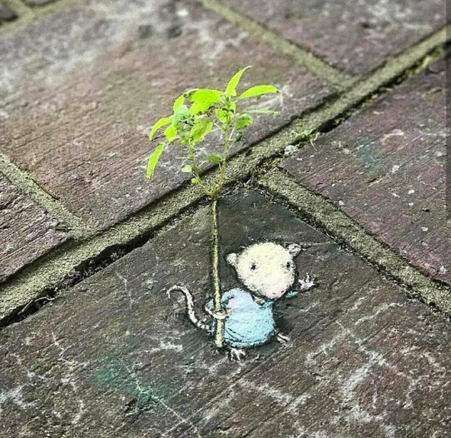 artwoonz: By: David Zinn Instagram: @artwoonz