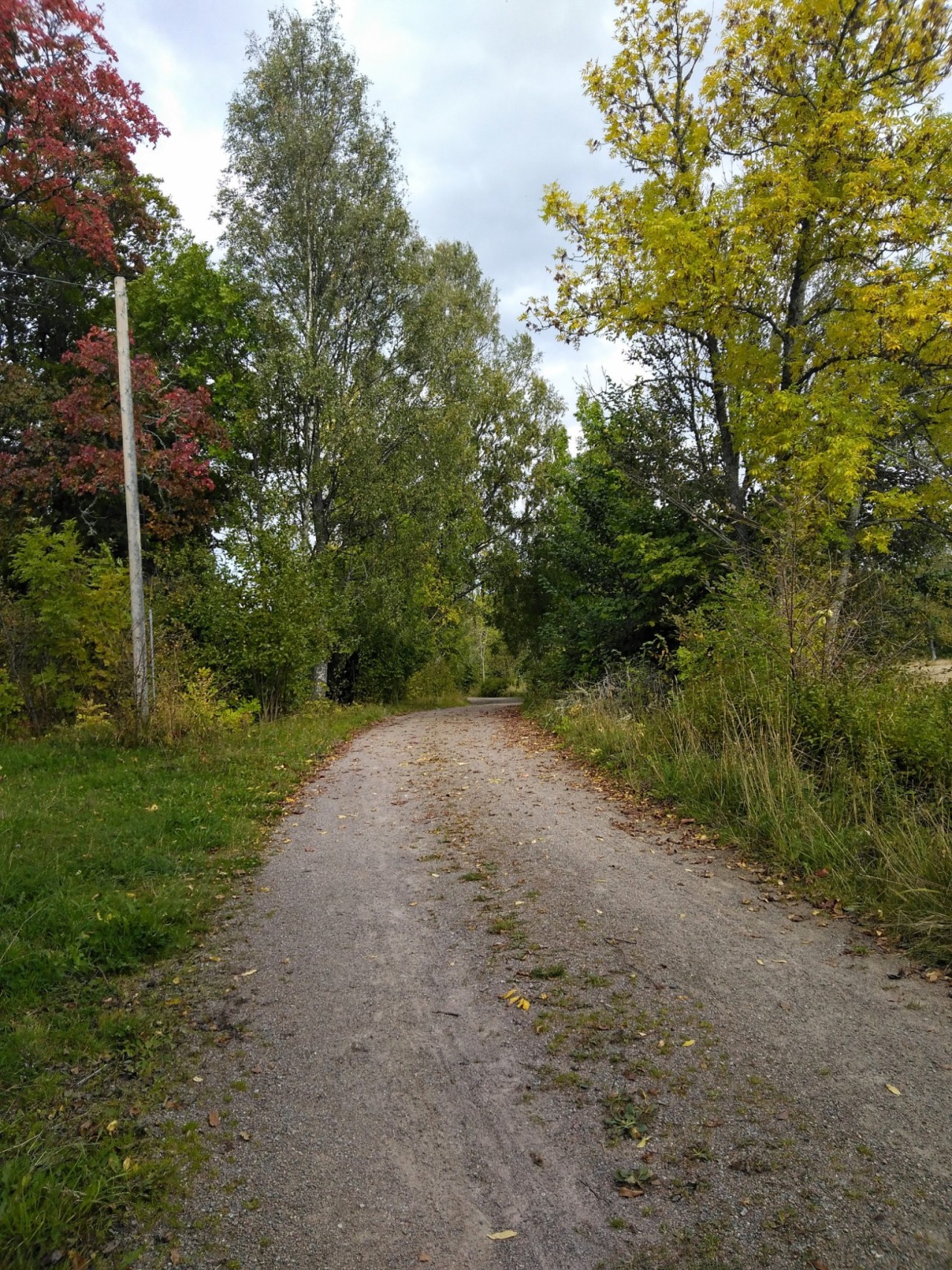 🍃🍂🌿🍁🌿🍂🍃