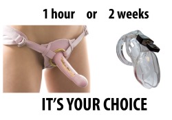 femdomgames:  The choice is simple, he either gets the strap-on for an hour straight or wears the chastity belt for two weeks without release. 