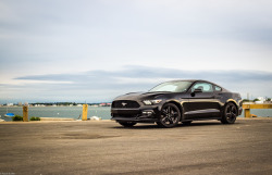 ford-mustang-generation:   	‘15 EB by Jeff