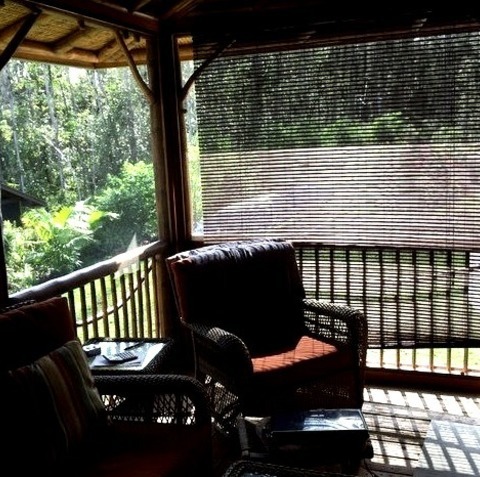 Side Yard Deckdeck Idea For A Medium-sized Tropical Side Yard With An Awning