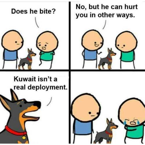 Bwahhahaaa 😂😂😂 💀💀💀 This one killed me!!! #kuwait #deployment #fuckyourfeelings