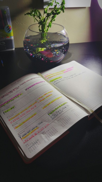 waitingforthatsilverlining: Working on my planner. I love how my fish bowl is looking.