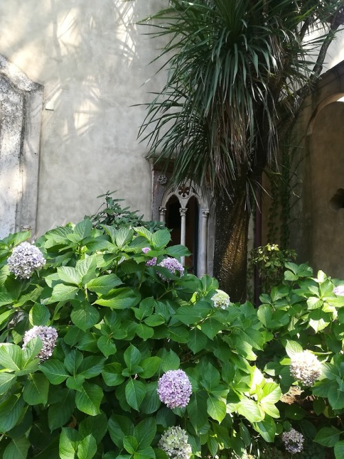 Villa Cimbrone- Ravello, Italy