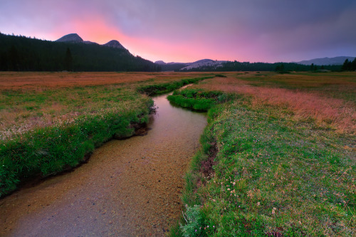 ~  source :  digitalphotographer.com.ph ~ Padre Burgos, Quezon Province,  Philippines