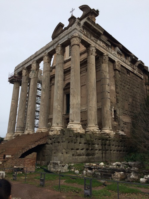 loribakes:Ancient Rome (Roman Forum) Temple of Antoninus and Faustina