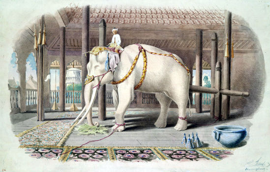 Where Did the Popular White Elephant Gift Exchange Originate?