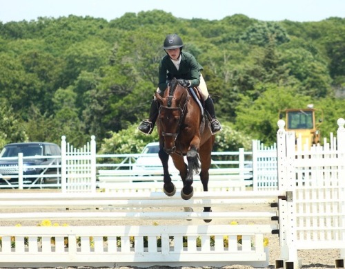 show jumping