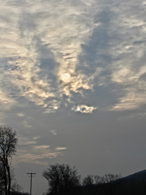 I thought I saw a face in the sky this morning and to me it looked like Nanabush/Nanabozho, the Tric