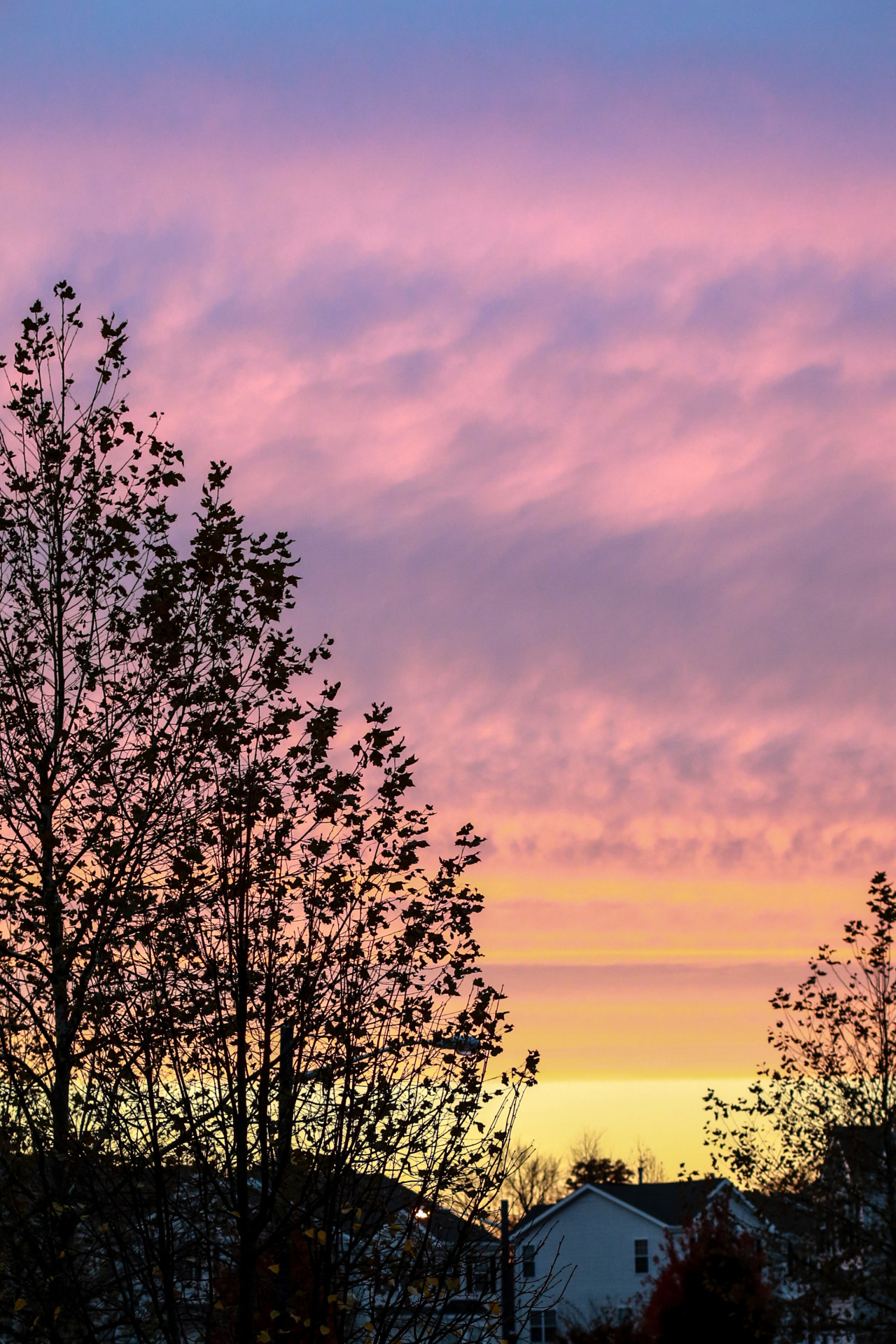 sinkingsouls:  The sky is high | Photographer 