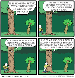 Huasotrolero