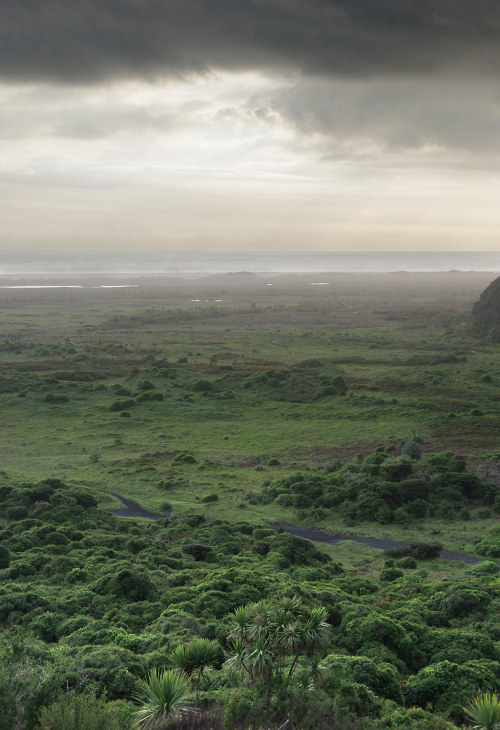 Whatipu Sands, Auckland, NZ.