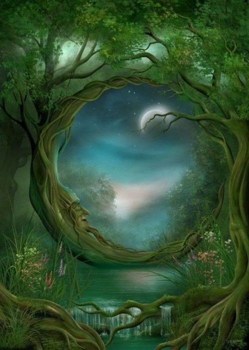 bestgardengadgets1:  Fairies