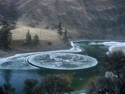 disclosable:  “Ice circles,” a rare natural phenomenon that occurs in slow moving water in cold climates. They are thin and circular slabs of ice that rotate slowly in the water. Gary Lane 