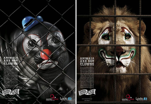 Porn Pics asylum-art:  11 . Powerful Animal Ad Campaigns