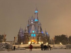 Disney-Universes:more Pictures From The Tokyo Disneyland Blizzard