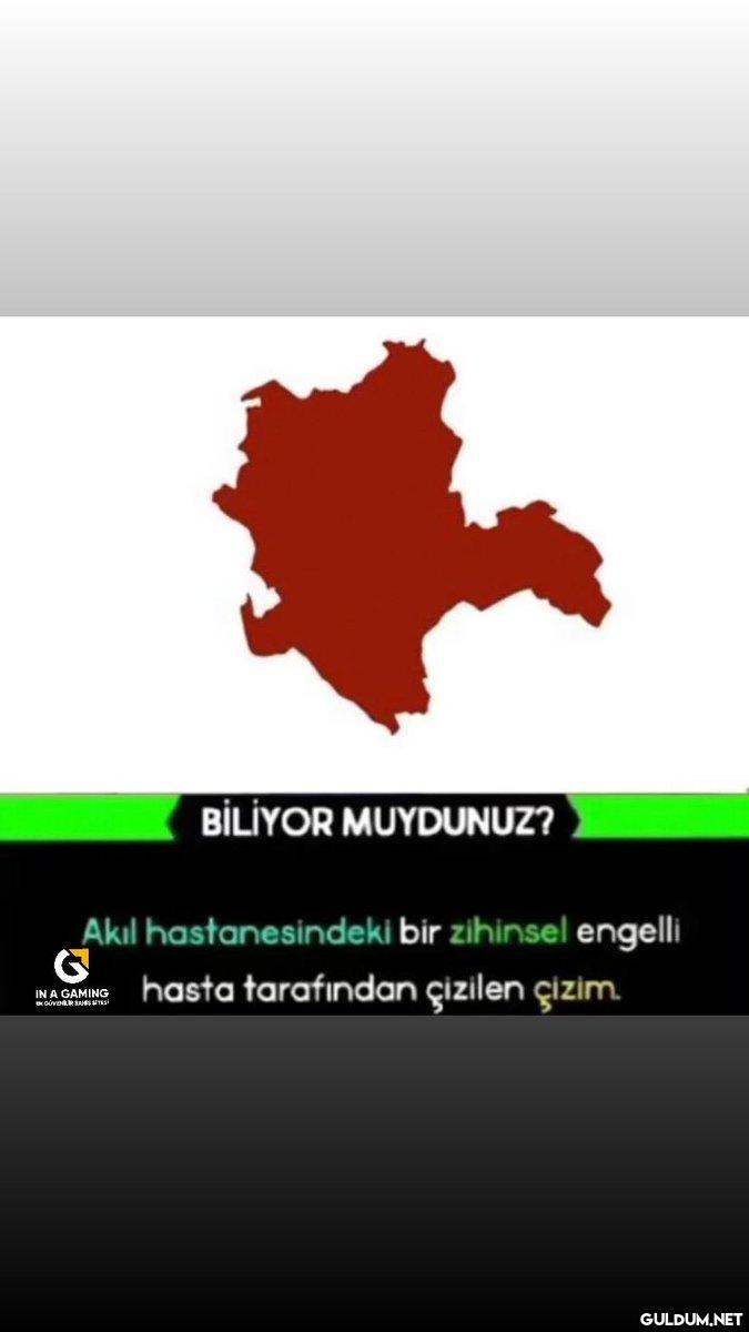 BİLİYOR MUYDUNUZ? Akıl...