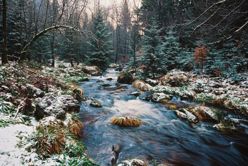 meolog:cataracts of feeling (Bodefälle, Kodak Ektar 100)instagram