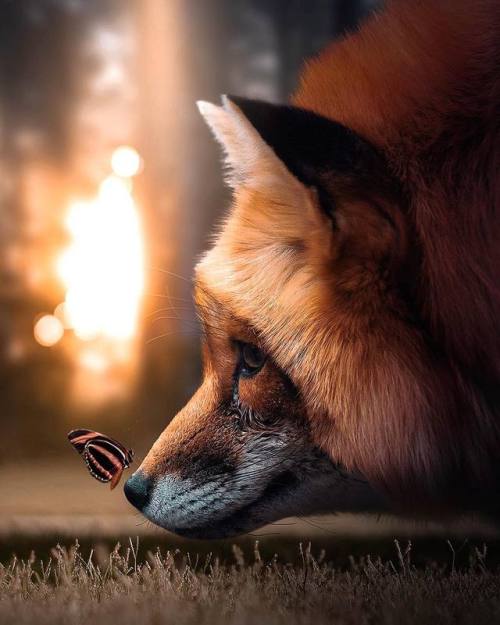 vizualvibe:zenzdesignBest FriendsThis is the first time I tried drawing the whiskers with a general 
