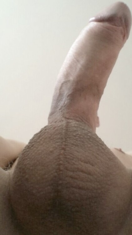 rabbits4play:  eyelk2rim2: maartensfavs: I love these balls…submission by hasenpics remixed by maartensfavs. He has one of the most beautiful cocks on Tumblr….something about the texture of the skin…I don’t know..and he has a great butthole :)