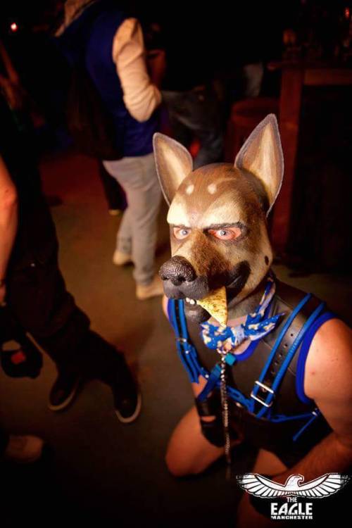 ace-puppy:  @daveywoofr, @fawn–prince, @goodboychance, @nnydlboi, @p0cket-pup, @pup-grizz, @pupsirius, @ruttpup, @tuggerpup, @twitchthepup Hooded Pups of Tumblr #21 