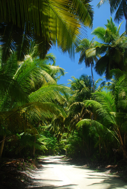 oceaniatropics:    On West island, Cocos Keeling Islands, Australia, by  Paul Schipper