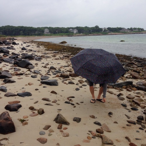 Cape Cod beach combing