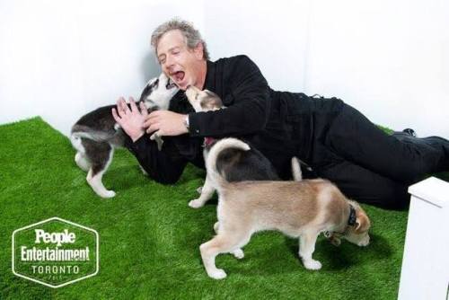 Toronto puppies