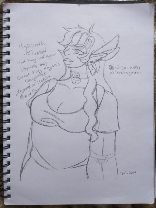 Hello! This Is My First Really Post On This Account And As Such I Decided My LOZ OC Would Make A Good
