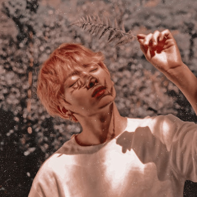 imsogifull - 𝗚𝟏's ɢɪʀʟ ۰ ⸂ぬ ࣪˖ ⋆ ࣪ 🕷 !