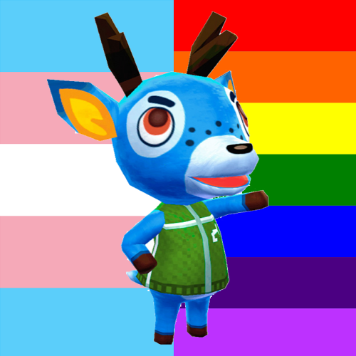 Bam is a homosexual transgender man!