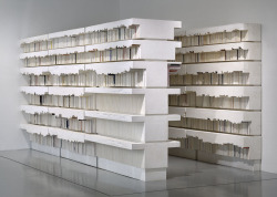 Rachel Whiteread “Untitled (Library)” 1999
Dental plaster, polystyrene, fiberboard, and steel
Whiteread presents the cast of the negative space defined by an object as the final artwork, rather than replicating the object itself. Her simplified,...