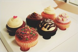 CUPCAKES!