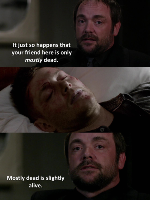 the-art-of-fangirling:Supernatural meets The Princess Bridept. 2  |  pt. 1