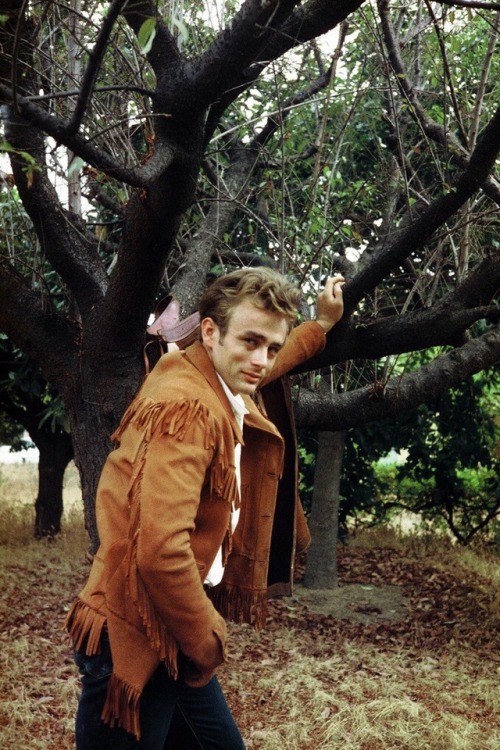 shes-asleep:James Dean by rising70 adult photos