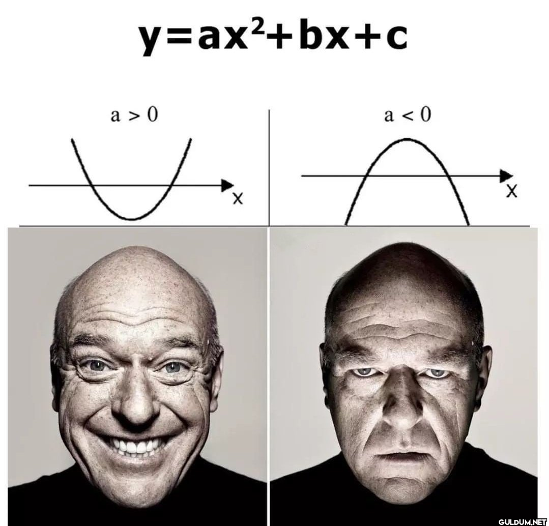 y=ax²+bx+c a> 0 X a Kaynak