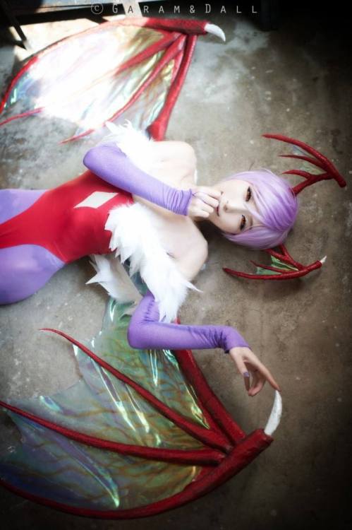Darkstalkers - Lilith Aensland (Momoren) 1-1