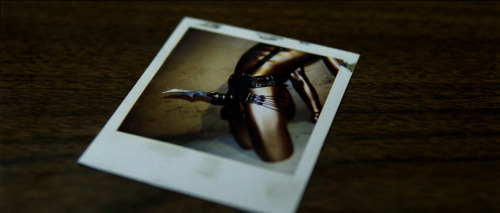 euo:   ”What I’ve done is going to be puzzled over and studied and followed forever.” Se7en (1995) dir. David Fincher