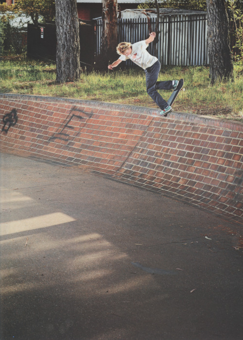 Marius SyvanenDarwen. The Skateboarder’s Journal #35