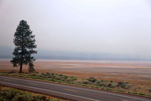 Riding the Rails… After a night of forest fires along the train tracks, the Coast Starlight m