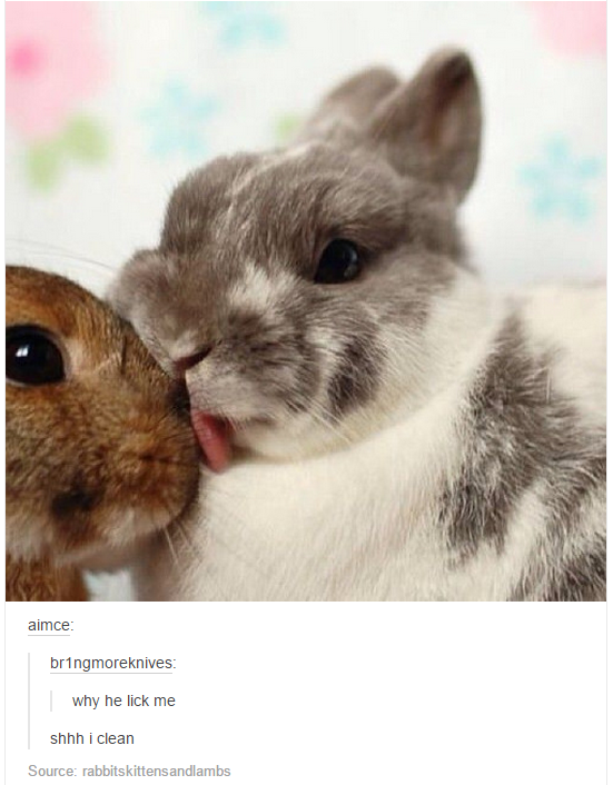 makeuphall:CHALLENGE: Can You Get Through These 33 Tumblr Posts Without Laughing