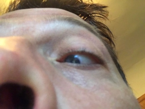 Misha + Extreme Close-ups