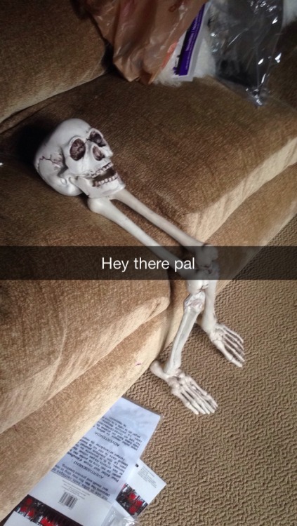 spoopytime-meeko:coopercinno:#humerusthis site’s obsession with skeletons and bone-related puns is a