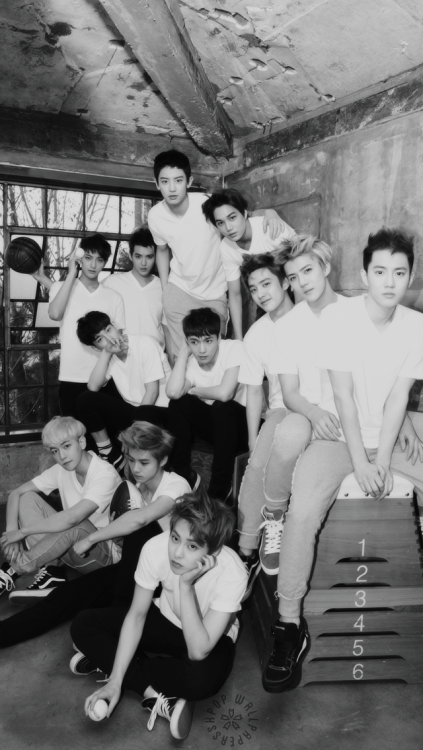 kpop-wallpaperss: EXO - (Simple)reblog if you save/use please!!  open them to get a full hd loc