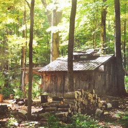 de-rigueurs:  Maple syrup cabin - Hopkins Forest, Williamstown, MA 
